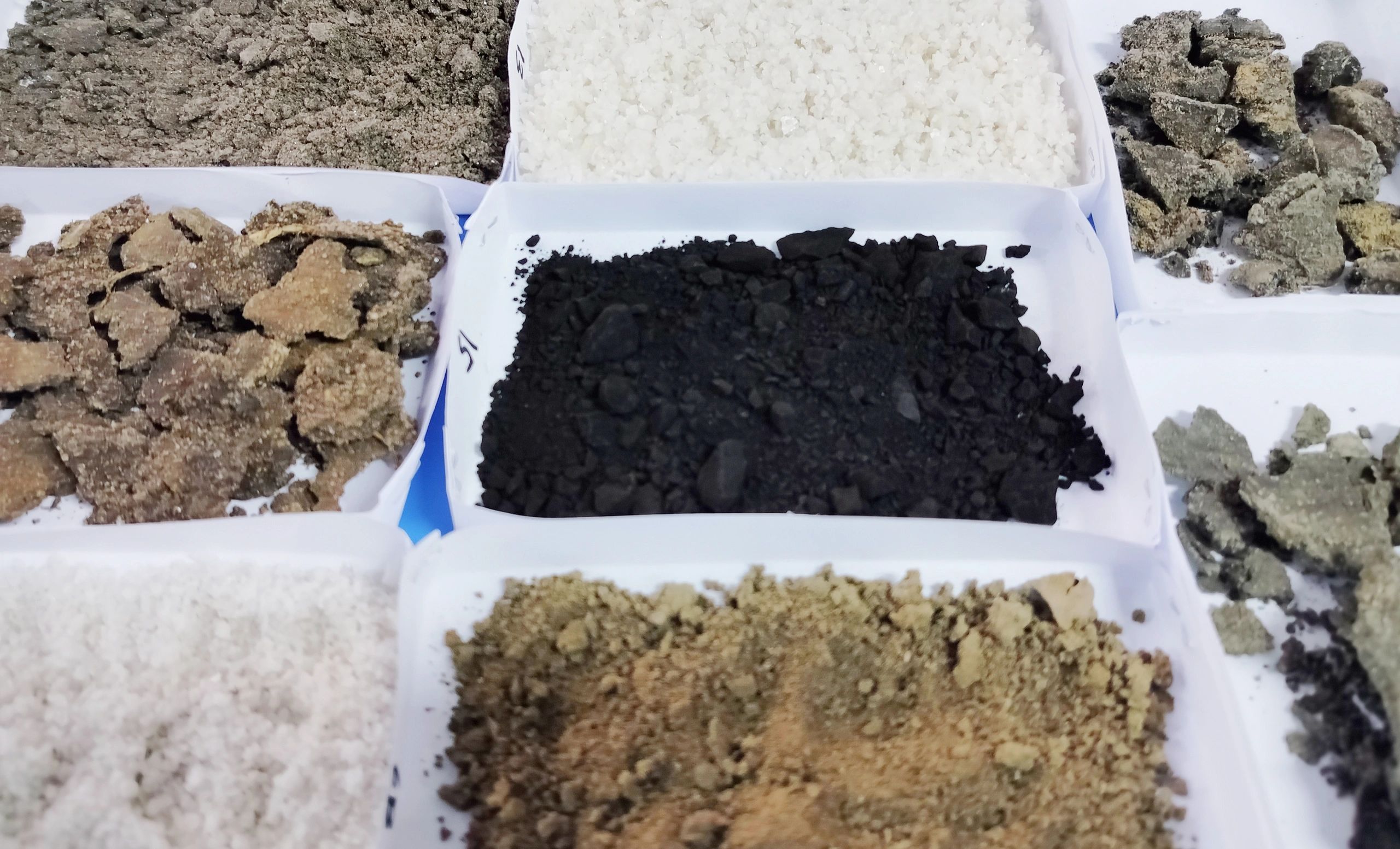Prepared mineral samples arranged for laboratory analysis