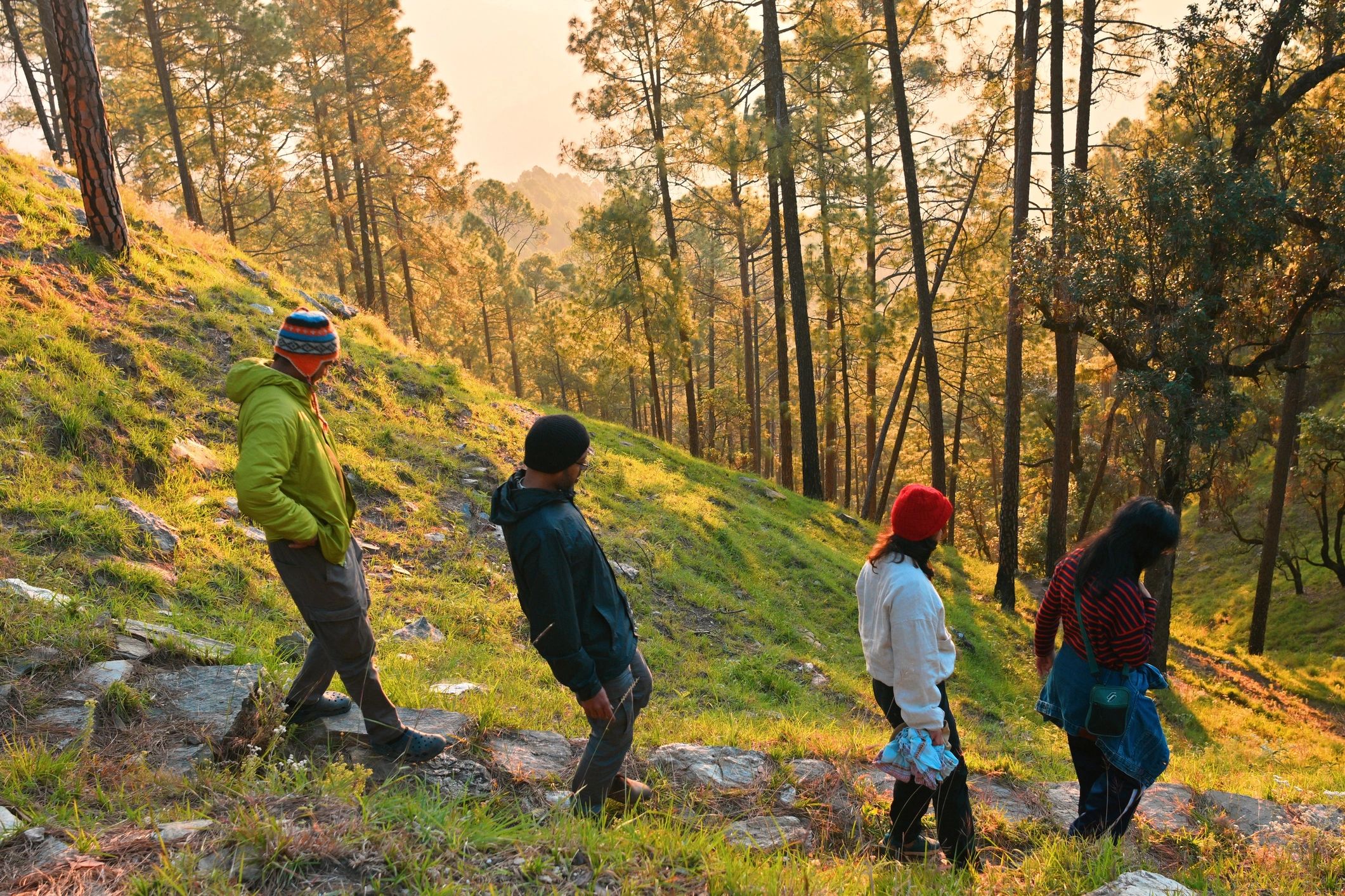 Field team walking through a forest reserve at sunrise
