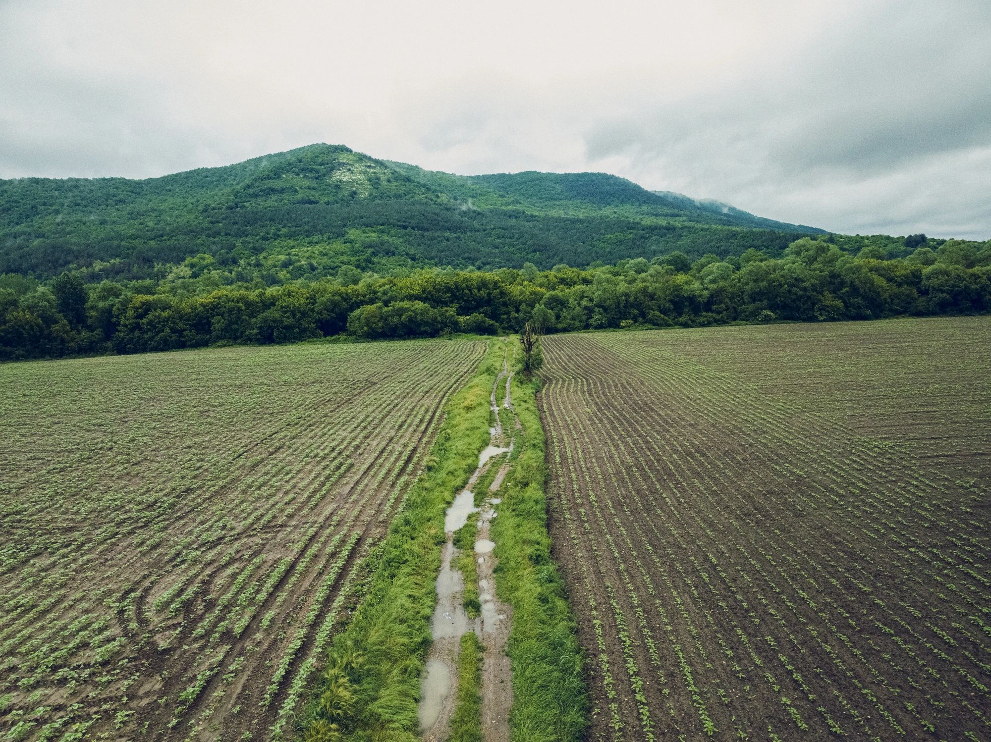 Aerial landscape used to represent terrain and environmental analysis